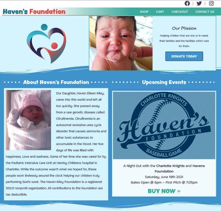 Havens Foundation Website Screenshot - havensfoundation.org